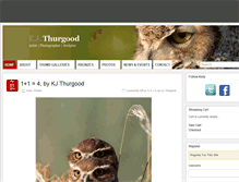 Tablet Screenshot of kellythurgood.com